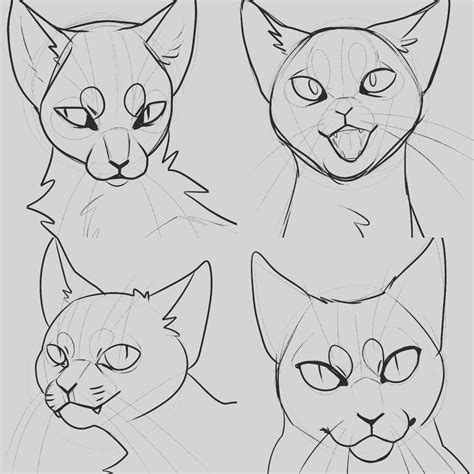 cat style study by Uoneko on @DeviantArt #catdibujo | Cat face drawing, Warrior cat drawings ...