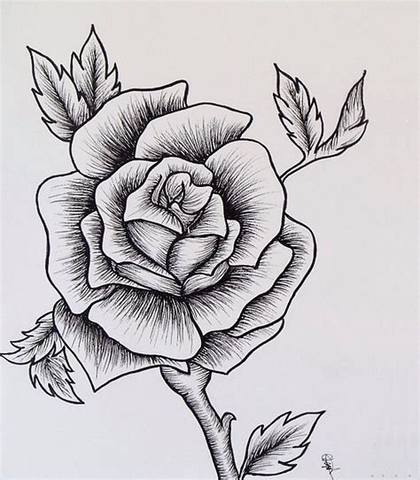 rose drawing Rose sketch drawing tattoo ideas on jpg - Cliparting.com