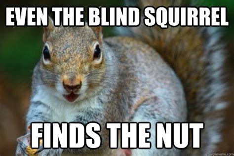 Even the Blind Squirrel Finds the nut - Misc - quickmeme