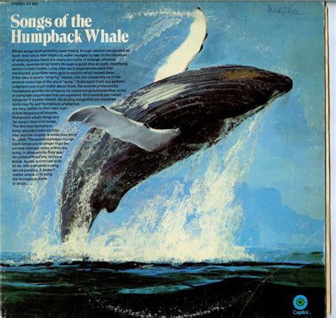 Songs of the Humpback Whale : [nature sounds] : Free Download, Borrow, and Streaming : Internet ...