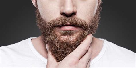 Where To Buy Beard Oil: Best Stores To Get Beard Products (2023 Guide)