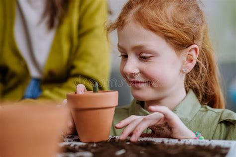 Happy Little Girl Looking at Growing Plant in a Pot. Stock Image - Image of childhood, nature ...