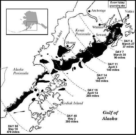 30 Years Later: Revisiting The Exxon Valdez Oil Spill | by Solomon ...