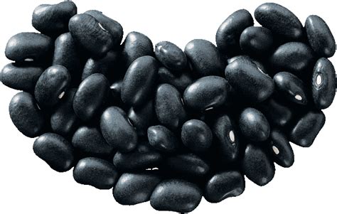 Kidney beans PNG