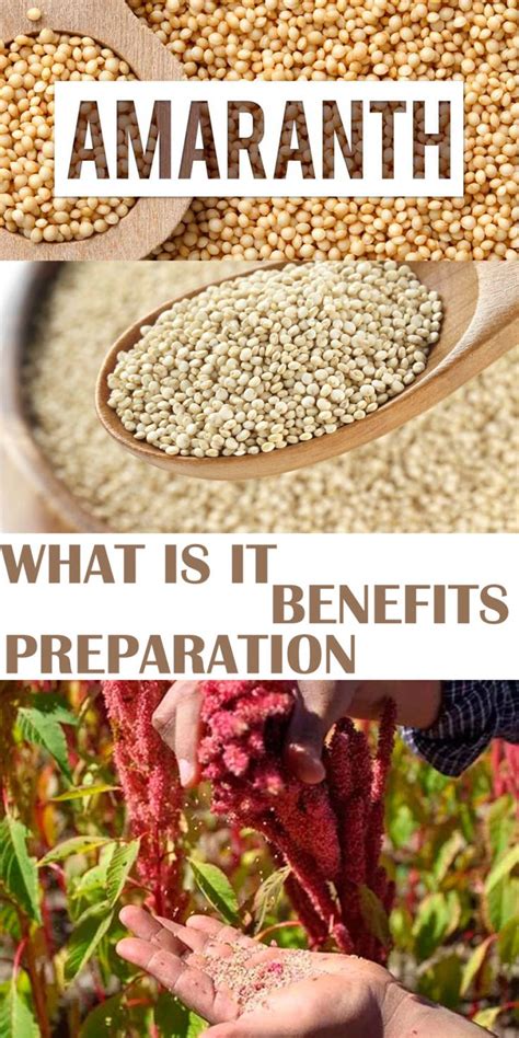 Amaranth: What is it, Benefits and Preparation | Amaranth benefits, Amaranth, Healthy diet recipes