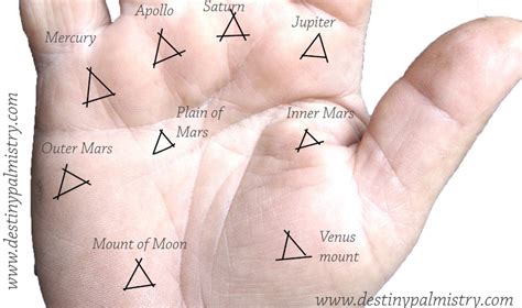 Triangle Mark on the Palm Mounts or Fingers - Destiny Palmistry