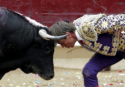 Bull Fighting: Bullfighting In Spain