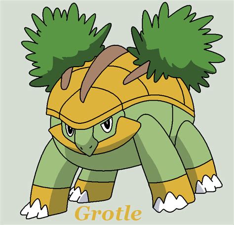 Grotle by Roky320 on DeviantArt