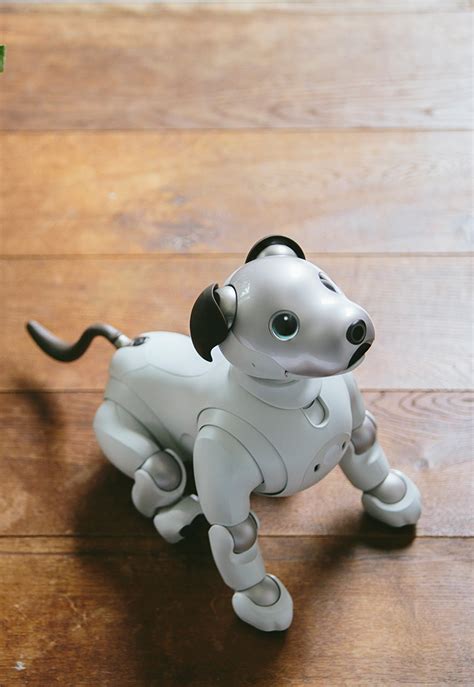 What Does The Aibo Robot Dog Do