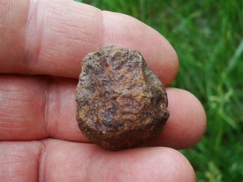 GoldBasinMeteorite100gms