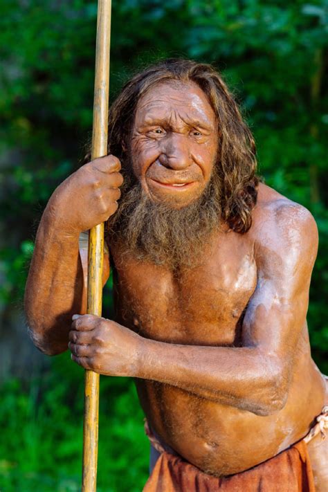 New analysis means that Neanderthals had been early risers – sobedie