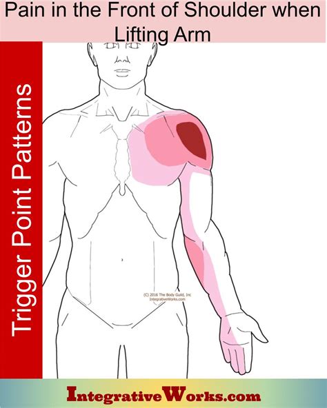 Pain in the Front of Shoulder When Lifting Arm - Integrative Works