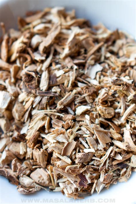 Chicory Root Tea (+VIDEO) | MasalaHerb.com