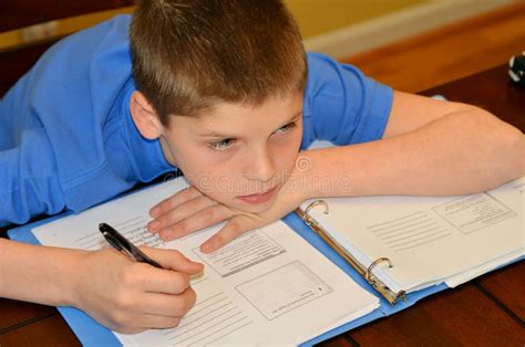 Boy doing homework stock photo. Image of checking, concentration - 5185436