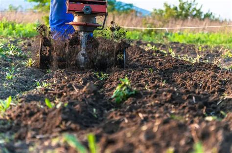 The Best Electric Rototiller for Your Gardening Woes 2024: Own The Yard