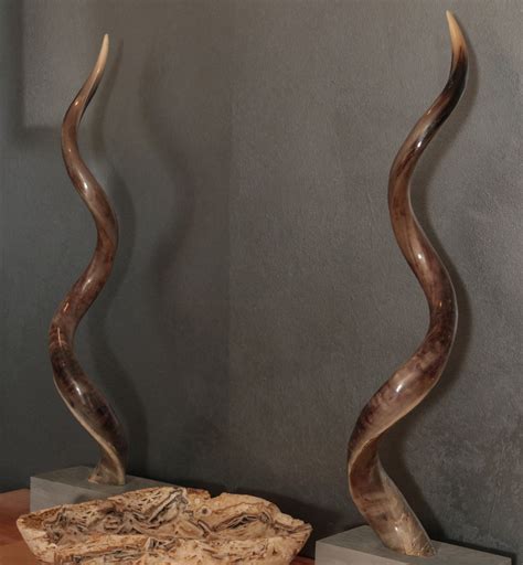 #808: A PAIR 41-INCH AFRICAN KUDU HORNS