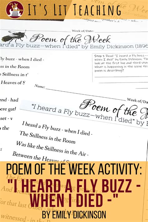 Poem of the Week: "I heard a Fly buzz - when I died -" by Emily Dickinson | Teaching creative ...