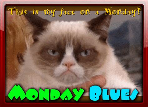 Monday Blues Meme Gif