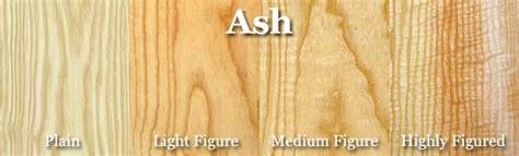 The Comprehensive Guide to Ash Cabinets - PA Kitchen