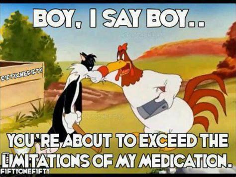 Foghorn Leghorn Quotes. QuotesGram