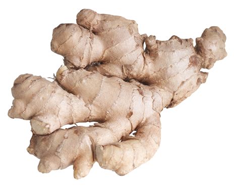 Ginger Root PNG Image for Free Download