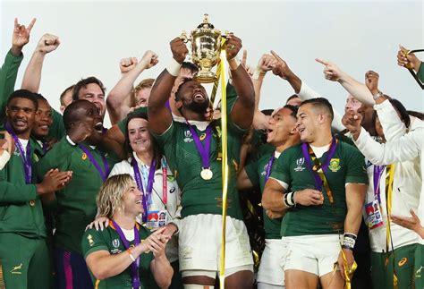 Springboks Trophy Wallpapers - Wallpaper Cave