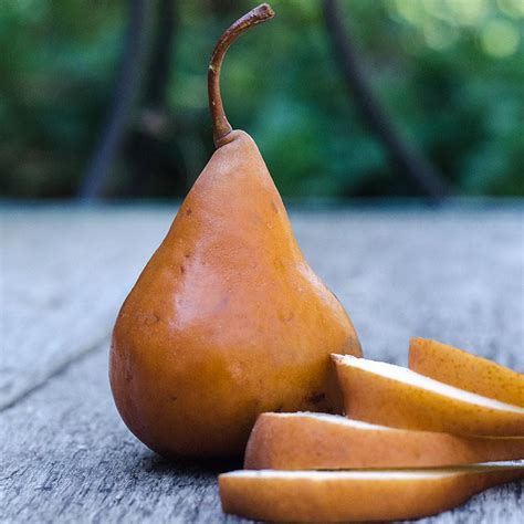 Organic Bosc Pears - Frog Hollow Farm