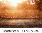 Thanksgiving Background Free Stock Photo - Public Domain Pictures