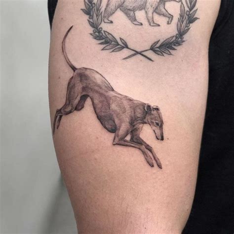 Greyhound tattoos | tattoos by category | Greyhound tattoo, Picture ...