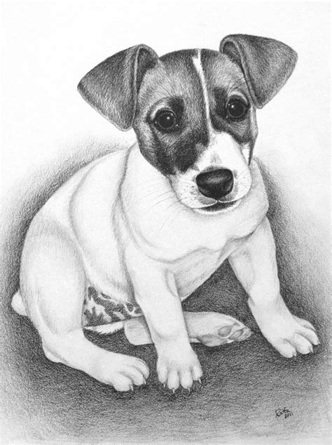 Jack Russell Coloring Pages - clowncoloringpages