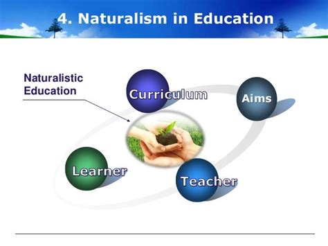 Naturalism in education