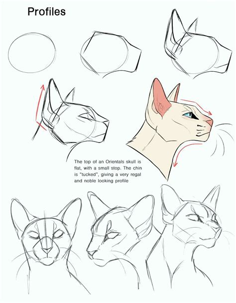 cats art drawing character design #cats #drawing #character #design ...