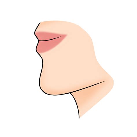 Chin Body Part