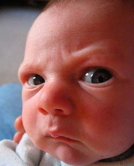 The 25 Funniest Baby Faces Ever Photographed