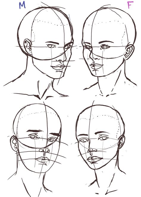 Drawing Heads, Human Drawing, Painting & Drawing, Body Drawing, Face ...