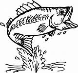 Fly Fishing Drawing At GetDrawings  Free Download sketch template