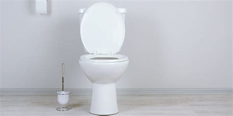 3 Common Causes of a Clogged Toilet