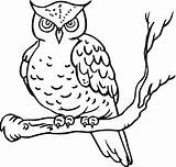 Free Printable Owl Coloring Pages For Kids sketch template