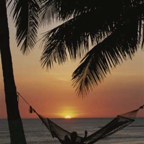 Hammock | Beautiful beach pictures, Relaxing beach vacations, Nature beach