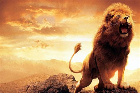 Roaring Lion Wallpaper Hd