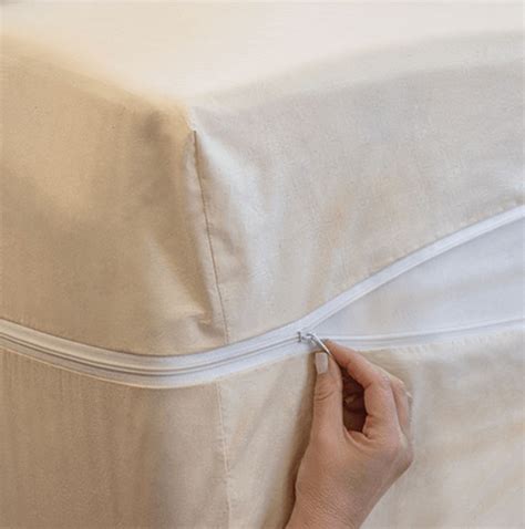 Best Dust Mite Covers For Mattress (2023 Update)