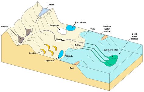 6.3 Depositional Environments and Sedimentary Basins – Physical Geology ...