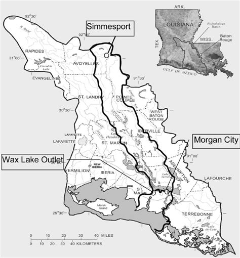 The Atchafalaya River Swamp Basin in the Northern Gulf of Mexico. | Download Scientific Diagram