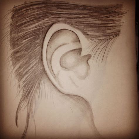 Ear sketch | Ear, Drawings, Draw