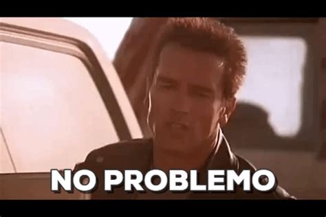 Terminator 2 No Problemo Gif