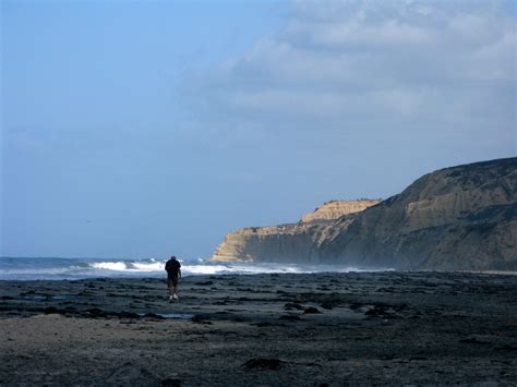 File:Blacks-Beach-View-North-High-Tide.jpg - Wikimedia Commons