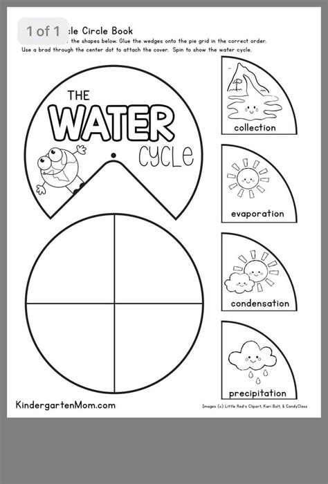 Water Cycle Worksheets for Kindergarten | Worksheet for Kindergarten | Water cycle, Water cycle ...