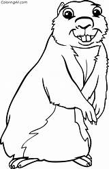 Gopher Coloring Pages  Cartoon coloring pages Illustration sketch template