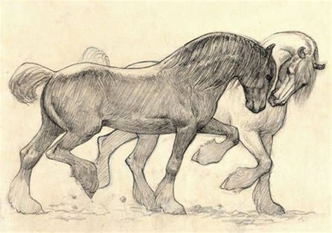 Draft Horse Drawing at GetDrawings | Free download