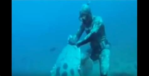 Goliath Grouper Attacks Diver Caught On Film!